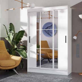 Шкаф-купе Тайм ШКК-03 (белый) в Троицке - troick.mebel24.online | фото