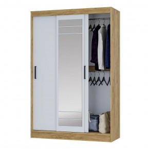 Шкаф-купе Тео ШКК-02 (крафт/белый) в Троицке - troick.mebel24.online | фото 3