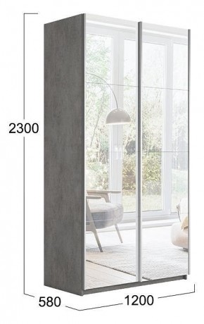 Шкаф-купе Траст СШК 2.120.60-13.13 в Троицке - troick.mebel24.online | фото 3