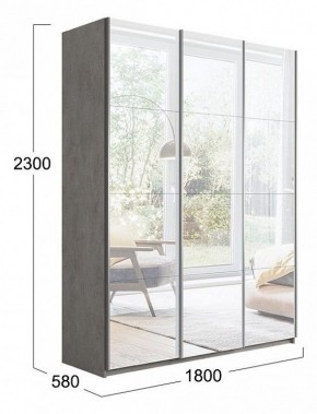 Шкаф-купе Траст СШК 2.180.60-13.13.13 в Троицке - troick.mebel24.online | фото 3