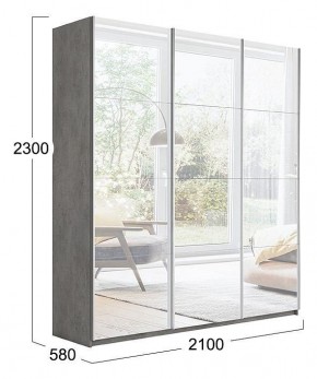 Шкаф-купе Траст СШК 2.210.70-13.13.13 в Троицке - troick.mebel24.online | фото 3
