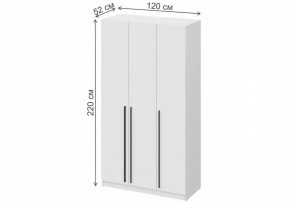 Шкаф платяной Бирма ШК-1200 в Троицке - troick.mebel24.online | фото 4