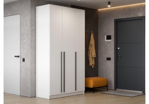 Шкаф платяной Бирма ШК-1200 в Троицке - troick.mebel24.online | фото 5