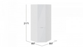 Шкаф платяной Глосс СМ-319.07.311 в Троицке - troick.mebel24.online | фото 3