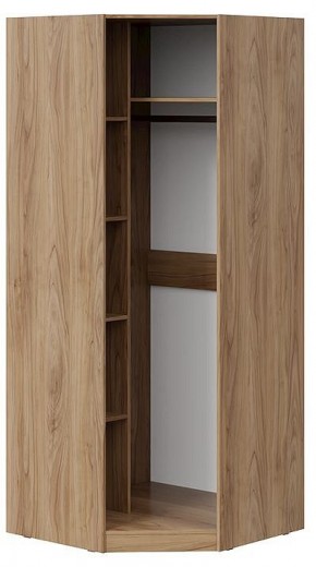 Шкаф платяной Глосс СМ-319.07.311 в Троицке - troick.mebel24.online | фото 2