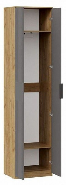 Шкаф платяной Хилтон Исп. 2 в Троицке - troick.mebel24.online | фото 2