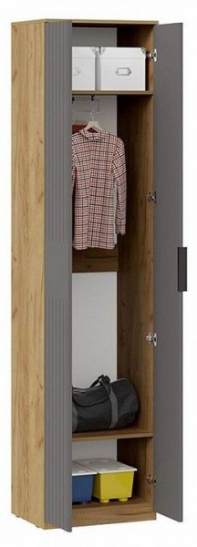 Шкаф платяной Хилтон Исп. 2 в Троицке - troick.mebel24.online | фото 3