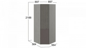 Шкаф платяной Либерти СМ-297.07.033 в Троицке - troick.mebel24.online | фото 3