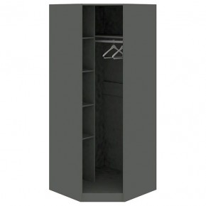 Шкаф платяной Наоми СМ-208.07.07 L в Троицке - troick.mebel24.online | фото 2