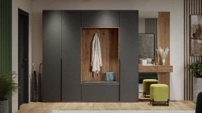 Шкаф платяной Порто СМ-393.07.223 в Троицке - troick.mebel24.online | фото 11