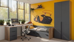 Шкаф платяной Порто СМ-393.07.223 в Троицке - troick.mebel24.online | фото 4