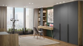 Шкаф платяной Порто СМ-393.07.223 в Троицке - troick.mebel24.online | фото 5
