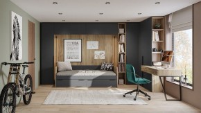 Шкаф платяной Порто СМ-393.07.223 в Троицке - troick.mebel24.online | фото 6