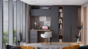 Шкаф платяной Порто СМ-393.07.223 в Троицке - troick.mebel24.online | фото 7