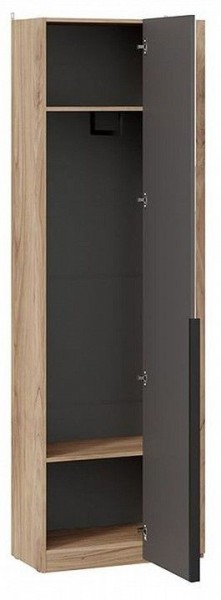 Шкаф платяной Порто СМ-393.07.232 в Троицке - troick.mebel24.online | фото 2