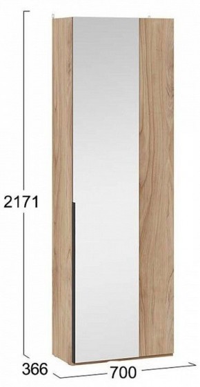 Шкаф платяной Порто СМ-393.07.232 в Троицке - troick.mebel24.online | фото 4