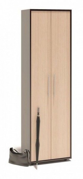 Шкаф платяной ШО-1 в Троицке - troick.mebel24.online | фото