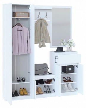 Шкаф платяной ШО-4 в Троицке - troick.mebel24.online | фото 4