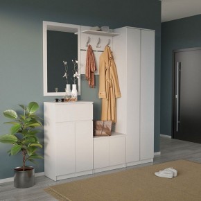 Шкаф платяной ШО-4 в Троицке - troick.mebel24.online | фото 6