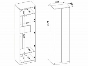 Шкаф платяной ШО-4 в Троицке - troick.mebel24.online | фото 8