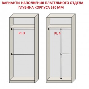 Шкаф распашной серия «ЗЕВС» (PL3/С1/PL2) Серый камень/Небраска натуральный в Троицке - troick.mebel24.online | фото 10