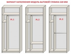 Шкаф распашной серия «ЗЕВС» (PL3/С1/PL2) Серый камень/Небраска натуральный в Троицке - troick.mebel24.online | фото 5