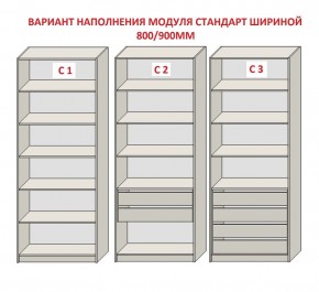 Шкаф распашной серия «ЗЕВС» (PL3/С1/PL2) Серый камень/Небраска натуральный в Троицке - troick.mebel24.online | фото 6