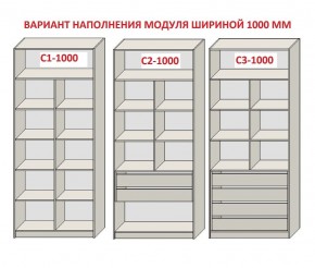 Шкаф распашной серия «ЗЕВС» (PL3/С1/PL2) Серый камень/Небраска натуральный в Троицке - troick.mebel24.online | фото 7