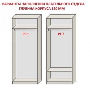 Шкаф распашной серия «ЗЕВС» (PL3/С1/PL2) Серый камень/Небраска натуральный в Троицке - troick.mebel24.online | фото 9
