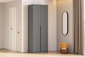 Шкаф ШК-5 (800) Графит серый в Троицке - troick.mebel24.online | фото 1