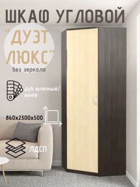 Шкаф угловой Дуэт Люкс без зеркала в Троицке - troick.mebel24.online | фото 3