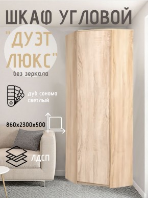 Шкаф угловой Дуэт Люкс без зеркала в Троицке - troick.mebel24.online | фото 5