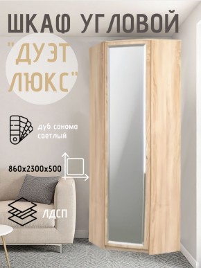 Шкаф угловой Дуэт Люкс с зеркалом в Троицке - troick.mebel24.online | фото 1