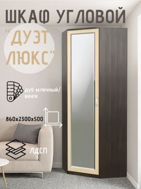 Шкаф угловой Дуэт Люкс с зеркалом в Троицке - troick.mebel24.online | фото 5