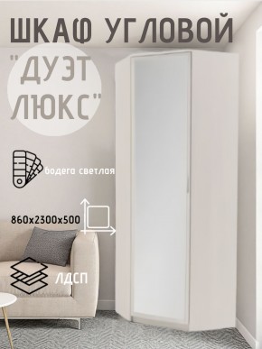 Шкаф угловой Дуэт Люкс с зеркалом в Троицке - troick.mebel24.online | фото 6