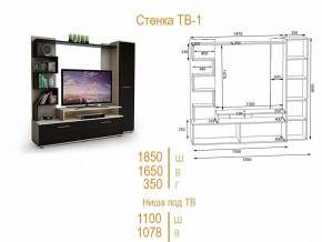 Стенка для гостиной ТВ-1 в Троицке - troick.mebel24.online | фото 2