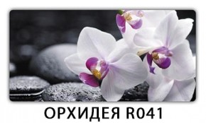 Стол Бриз с фотопечатью Цветы R044 в Троицке - troick.mebel24.online | фото 10