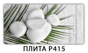 Стол раздвижной-бабочка Паук с фотопечатью Доска D111 в Троицке - troick.mebel24.online | фото 3