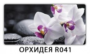 Стол раздвижной Бриз орхидея R041 Доска D112 в Троицке - troick.mebel24.online | фото 4