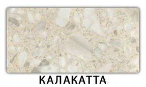 Стол раздвижной Паук пластик Калакатта в Троицке - troick.mebel24.online | фото 14