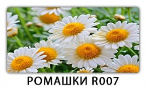 Стол раздвижной Трилогия с фотопечатью Кофе R012 в Троицке - troick.mebel24.online | фото 15