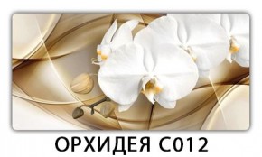 Стол раздвижной Трилогия с фотопечатью Цветы R044 в Троицке - troick.mebel24.online | фото 13