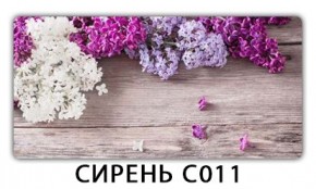 Стол раздвижной Трилогия с фотопечатью Цветы R044 в Троицке - troick.mebel24.online | фото 16