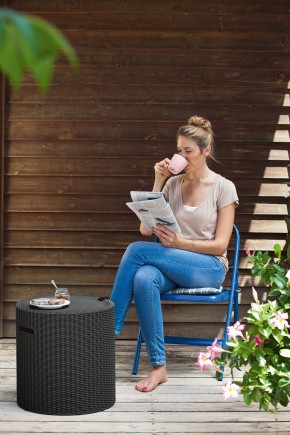 Столик-холодильник Кул-Стул (Cool stool) коричневый в Троицке - troick.mebel24.online | фото 2