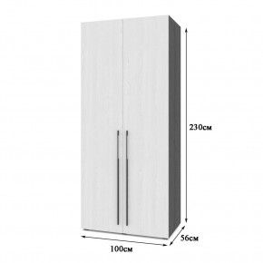 СТОУН С21 Шкаф 2-х створчатый (анкор темный/анкор светлый) в Троицке - troick.mebel24.online | фото 2