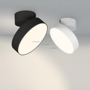Светильник на штанге Arlight SP-RONDO-FLAP-R210-20W Day4000 (BK, 110 deg) 026453 в Троицке - troick.mebel24.online | фото 3