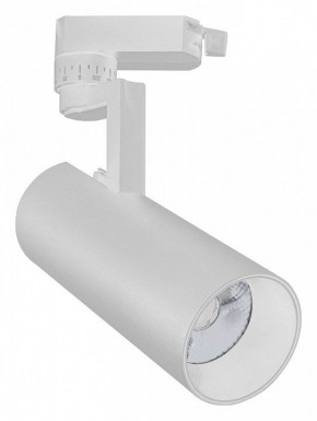 Светильник на штанге Escada 20029 20029TRA/02LED SWH в Троицке - troick.mebel24.online | фото