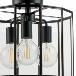 Светильник на штанге Lightstar Genni 798237 в Троицке - troick.mebel24.online | фото 4