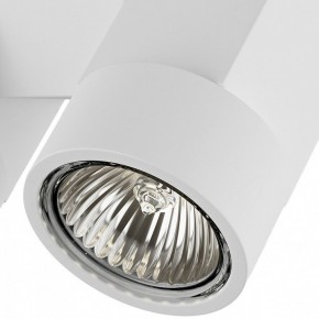 Светильник на штанге Lightstar Illumo X2 051036 в Троицке - troick.mebel24.online | фото 2