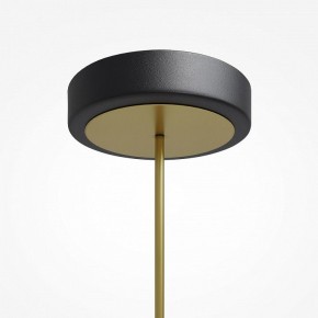 Светильник на штанге Maytoni Link MOD357PL-L40BS3K в Троицке - troick.mebel24.online | фото 7